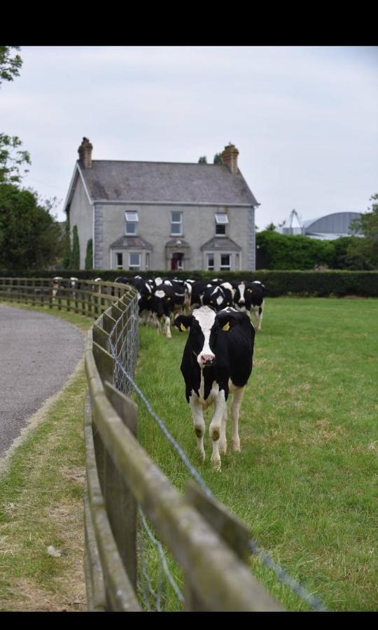 Ballyginniff Farm House 克拉姆林 外观 照片